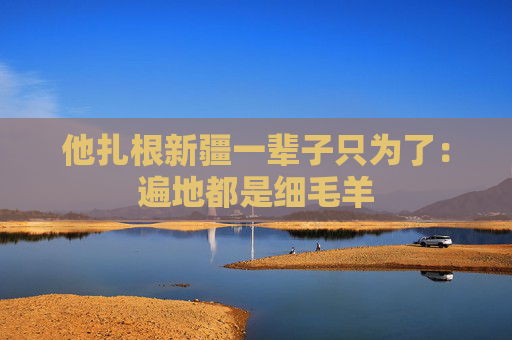 他扎根新疆一辈子只为了：遍地都是细毛羊