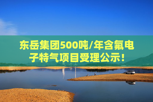 东岳集团500吨/年含氟电子特气项目受理公示！