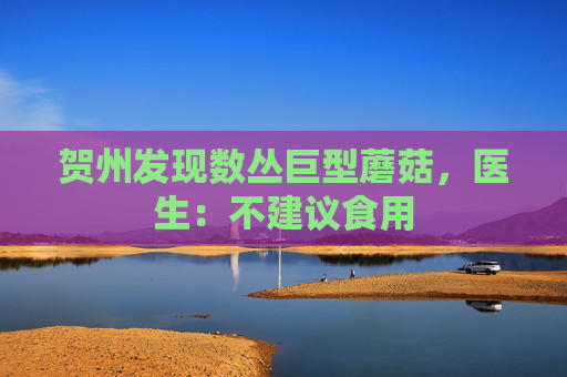 贺州发现数丛巨型蘑菇，医生：不建议食用