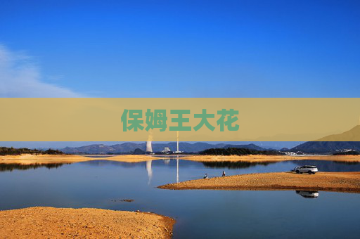 保姆王大花