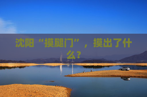 沈阳“摸腿门”，摸出了什么？