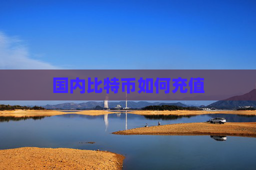 国内比特币如何充值