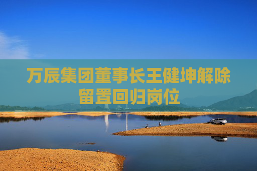 万辰集团董事长王健坤解除留置回归岗位