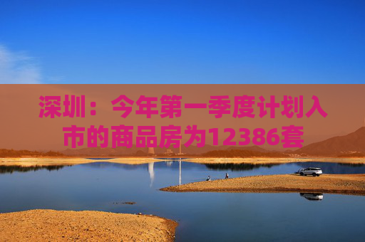 深圳：今年第一季度计划入市的商品房为12386套