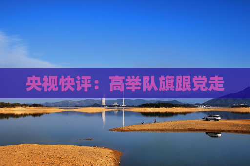 央视快评：高举队旗跟党走