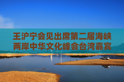 王沪宁会见出席第二届海峡两岸中华文化峰会台湾嘉宾