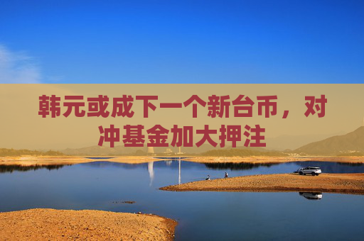 韩元或成下一个新台币，对冲基金加大押注