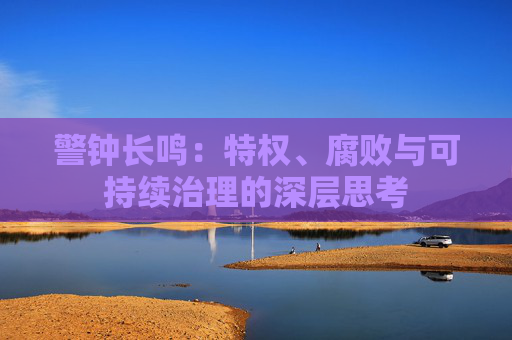 警钟长鸣：特权、腐败与可持续治理的深层思考