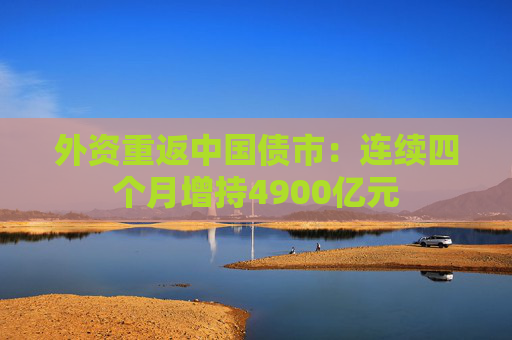 外资重返中国债市：连续四个月增持4900亿元