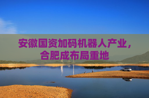 安徽国资加码机器人产业，合肥成布局重地