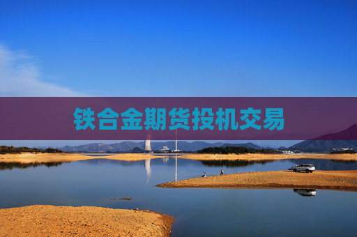 铁合金期货投机交易