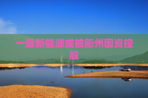一道新能源或被衢州国资控股