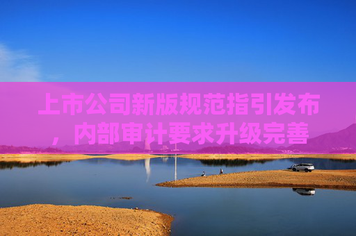上市公司新版规范指引发布，内部审计要求升级完善