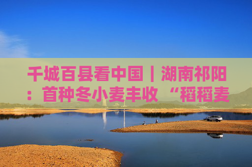 千城百县看中国｜湖南祁阳：首种冬小麦丰收 “稻稻麦”模式效益初显