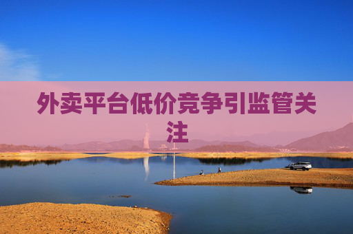 外卖平台低价竞争引监管关注