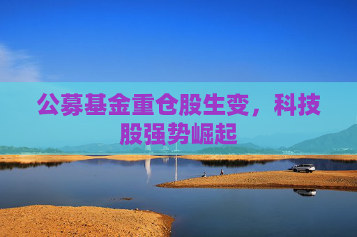 公募基金重仓股生变，科技股强势崛起