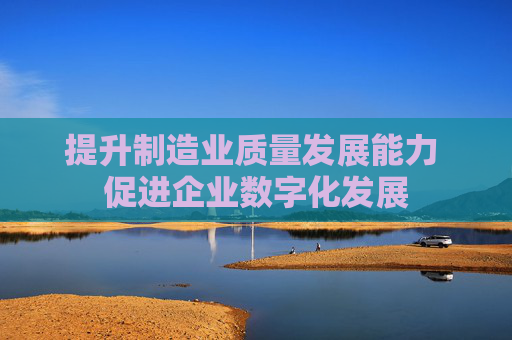 提升制造业质量发展能力 促进企业数字化发展