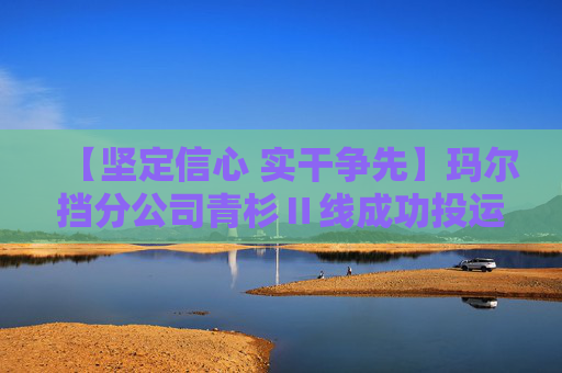 【坚定信心 实干争先】玛尔挡分公司青杉Ⅱ线成功投运