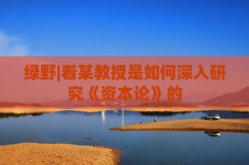 绿野|看某教授是如何深入研究《资本论》的