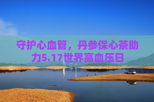 守护心血管，丹参保心茶助力5.17世界高血压日