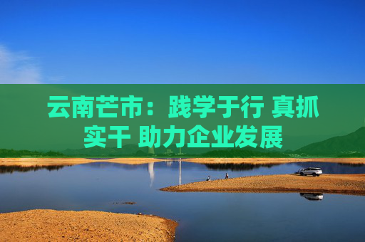 云南芒市：践学于行 真抓实干 助力企业发展