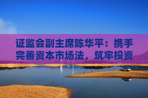 证监会副主席陈华平：携手完善资本市场法，筑牢投资者保护网