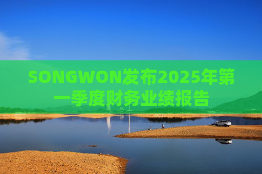 SONGWON发布2025年第一季度财务业绩报告