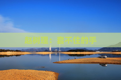 赵树理：套不住的手