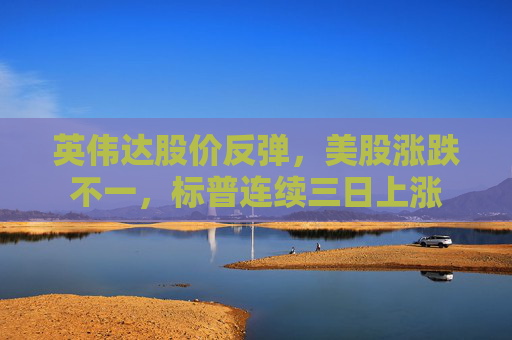 英伟达股价反弹，美股涨跌不一，标普连续三日上涨