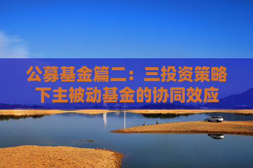 公募基金篇二：三投资策略下主被动基金的协同效应