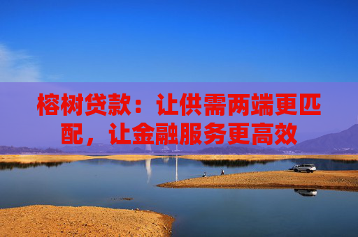 榕树贷款：让供需两端更匹配，让金融服务更高效