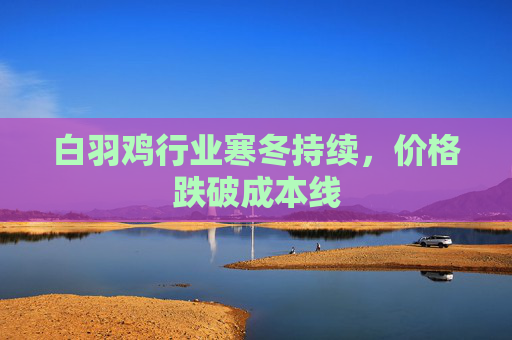 白羽鸡行业寒冬持续，价格跌破成本线