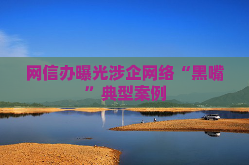 网信办曝光涉企网络“黑嘴”典型案例