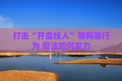 打击“开盒挂人”等网暴行为 司法如何发力