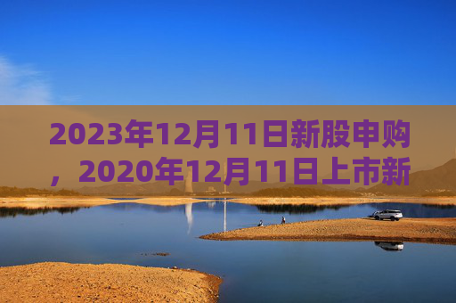 2023年12月11日新股申购，2020年12月11日上市新股
