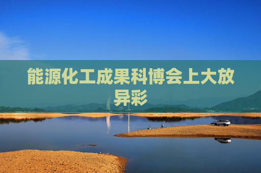 能源化工成果科博会上大放异彩