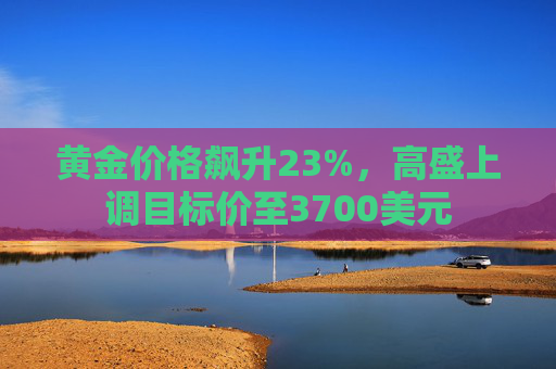 黄金价格飙升23%，高盛上调目标价至3700美元