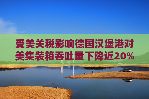 受美关税影响德国汉堡港对美集装箱吞吐量下降近20%