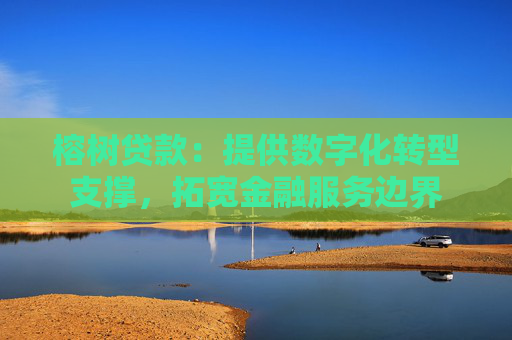 榕树贷款:提供数字化转型支撑,拓宽金融服务边界