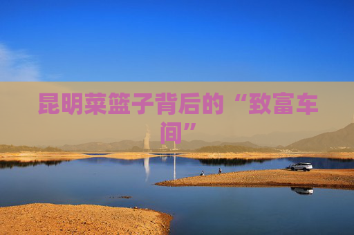 昆明菜篮子背后的“致富车间”