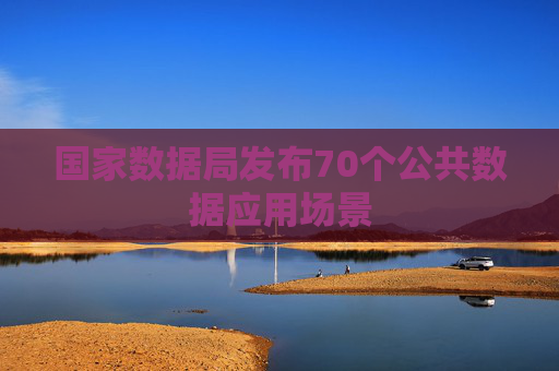 国家数据局发布70个公共数据应用场景
