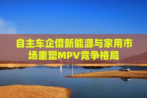 自主车企借新能源与家用市场重塑MPV竞争格局