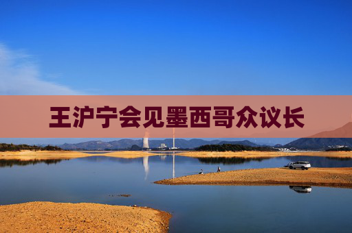 王沪宁会见墨西哥众议长