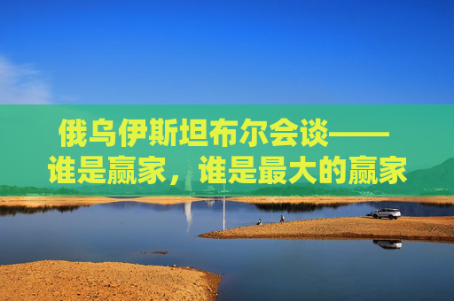俄乌伊斯坦布尔会谈—— 谁是赢家，谁是最大的赢家？