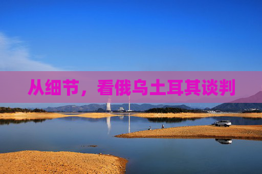 从细节，看俄乌土耳其谈判