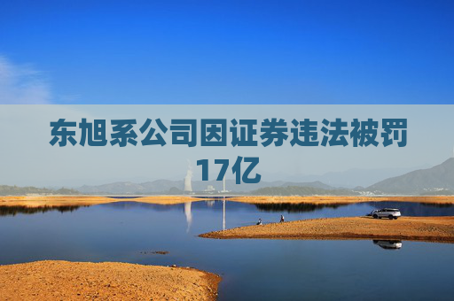 东旭系公司因证券违法被罚17亿