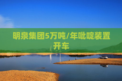 明泉集团5万吨/年吡啶装置开车