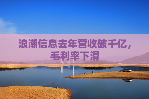 浪潮信息去年营收破千亿，毛利率下滑