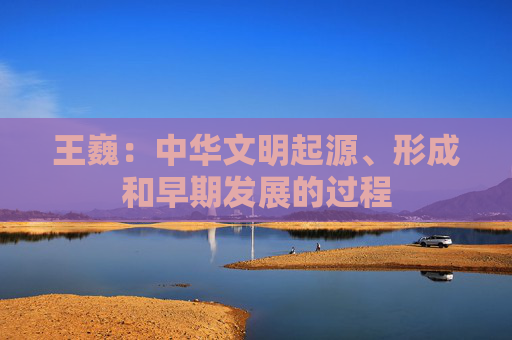 王巍：中华文明起源、形成和早期发展的过程