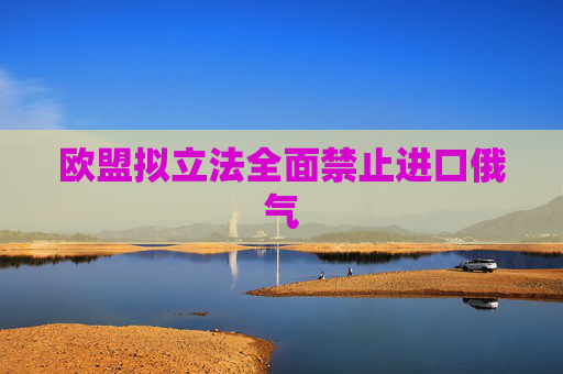 欧盟拟立法全面禁止进口俄气